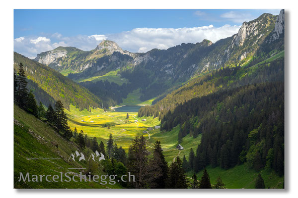 Plattenbödeli/Sämtisersee Art.-Nr. MZ7-2875