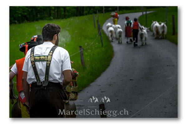 Öberefahre/Alpfahrt Art.-Nr. MS5-1274-Juni