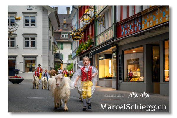 Marcel Schiegg Fotografie, Tradition, Brauchtum, Alpfahrt, Oeberefahre, Appenzell, Appenzellerland, Hauptgasse, Öberefahre