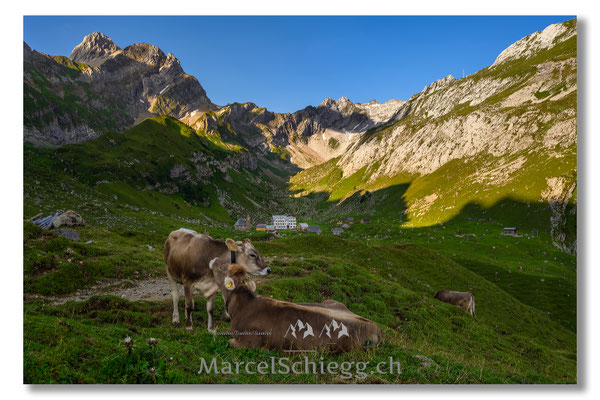 Meglisalp Art.-Nr. MZ7-0167