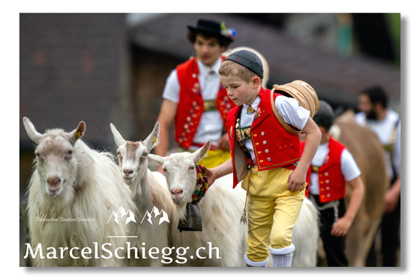 Marcel Schiegg Fotografie, Tradition, Brauchtum, Alpfahrt, Oeberefahre, Appenzell, Appenzellerland, Öberefahre