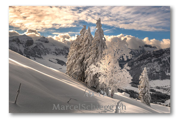 Appenzellerland/Hoher Kasten/Winterimpressionen Art.-Nr. MS5-6742-Januar