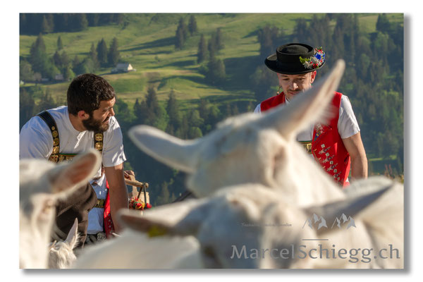 Marcel Schiegg Fotografie, Tradition, Brauchtum, Alpfahrt, Oeberefahre, Appenzell, Appenzellerland, Öberefahre, Alpstein