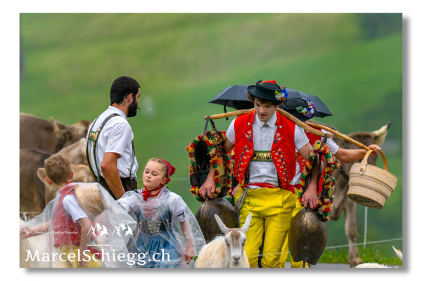 Marcel Schiegg Fotografie, Tradition, Brauchtum, Alpfahrt, Oeberefahre, Appenzell, Appenzellerland, Öberefahre