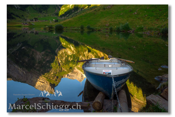 Seealpsee Art.-Nr. MZ7-7520