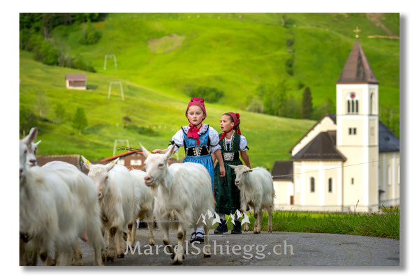 Marcel Schiegg Fotografie, Tradition, Brauchtum, Alpfahrt, Oeberefahre, Appenzell, Appenzellerland, Öberefahre