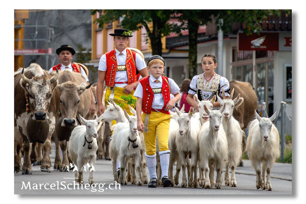 Marcel Schiegg Fotografie, Tradition, Brauchtum, Alpfahrt, Oeberefahre, Appenzell, Appenzellerland, Öberefahre