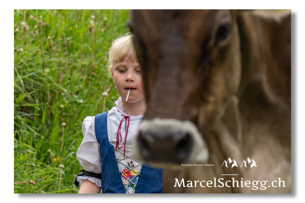 Marcel Schiegg Fotografie, Seealp, Alpstein, Tradition, Brauchtum, Alpfahrt, Oeberefahre, Appenzell