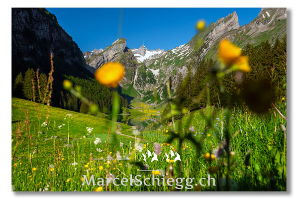 Seealpsee Art.-Nr. MS8-1116