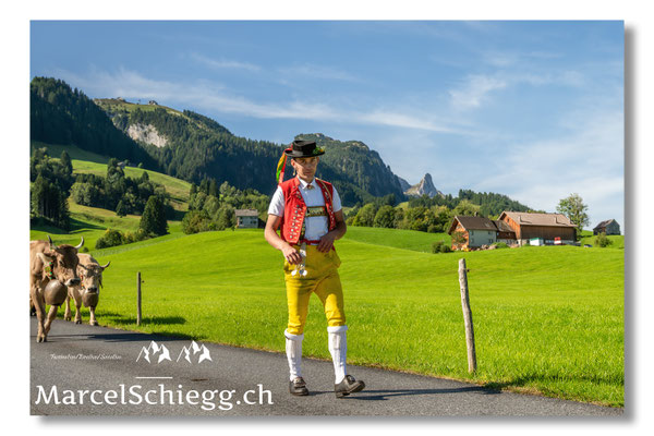 Marcel Schiegg Fotografie, Tradition, Brauchtum, Alpfahrt, Oeberefahre, Appenzell, Appenzellerland, Öberefahre, Alpstein