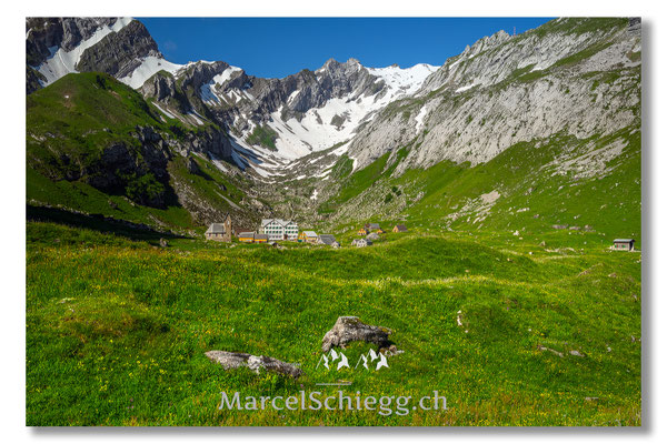 Meglisalp Art.-Nr. MZ7-8258