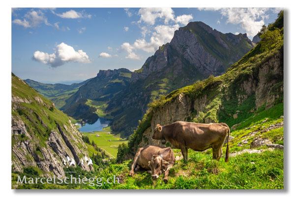 Seealpsee/Mesmer Art.-Nr. MZ7-0217