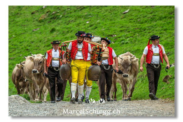 Marcel Schiegg Fotografie, Seealp, Alpstein, Tradition, Brauchtum, Alpfahrt, Oeberefahre, Appenzell, Senntumschellen
