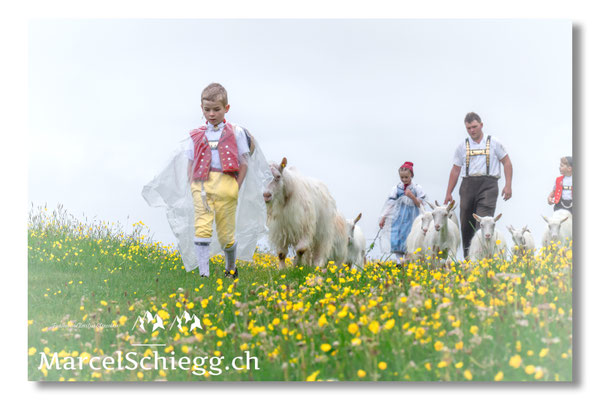 Marcel Schiegg Fotografie, Tradition, Brauchtum, Alpfahrt, Oeberefahre, Appenzell, Appenzellerland, Öberefahre, Alpstein