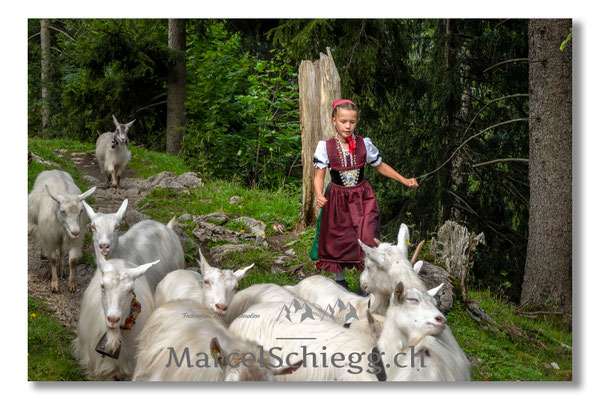 Marcel Schiegg Fotografie, Tradition, Brauchtum, Alpfahrt, Oeberefahre, Appenzell, Appenzellerland, Öberefahre, Alpstein