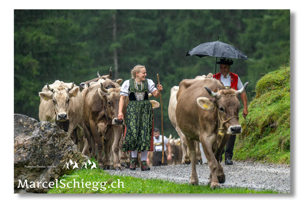 Marcel Schiegg Fotografie, Seealp, Alpstein, Tradition, Brauchtum, Alpfahrt, Oeberefahre, Appenzell