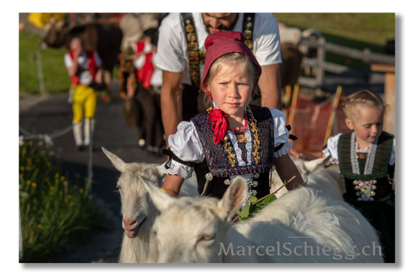 Marcel Schiegg Fotografie, Tradition, Brauchtum, Alpfahrt, Oeberefahre, Appenzell, Appenzellerland, Öberefahre, Alpstein