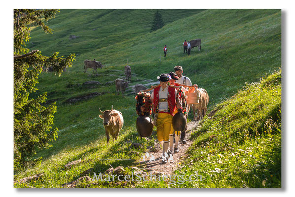 Marcel Schiegg Fotografie, Tradition, Brauchtum, Alpfahrt, Oeberefahre, Appenzell, Appenzellerland, Öberefahre, Alpstein