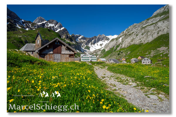 Meglisalp Art.-Nr. MZ7-8274