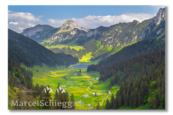 Plattenbödeli/Sämtisersee/Rheintaler Sämtis Art.-Nr. MZ7-2869