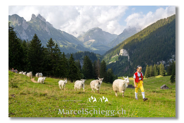 Marcel Schiegg Fotografie, Tradition, Brauchtum, Alpfahrt, Oeberefahre, Appenzell, Appenzellerland, Öberefahre, Alpstein