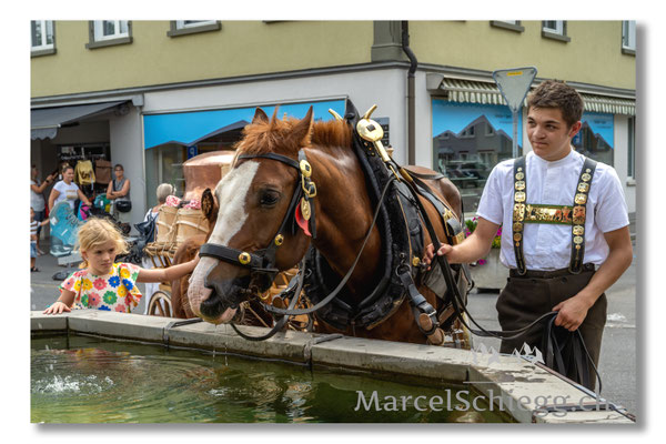 Marcel Schiegg Fotografie, Tradition, Brauchtum, Alpfahrt, Oeberefahre, Appenzell, Appenzellerland, Öberefahre, Hauptgasse, Lediwagen, Landsgemeindeplatz