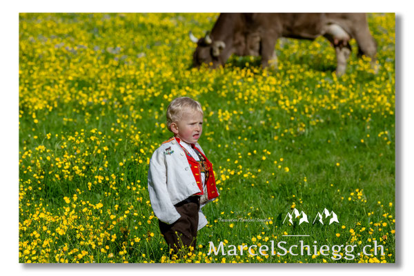 Marcel Schiegg Fotografie, Tradition, Brauchtum, Alpfahrt, Oeberefahre, Appenzell