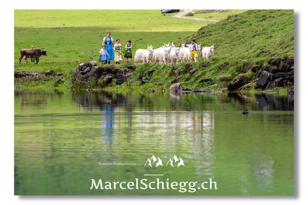 Marcel Schiegg Fotografie, Seealpsee, Alpstein, Tradition, Brauchtum, Alpfahrt, Oeberefahre, Appenzell