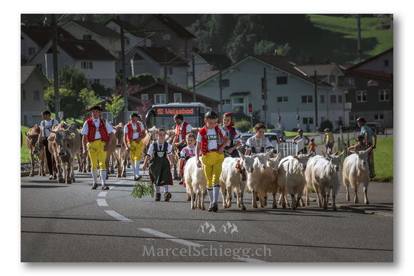 Öberefahre/Alpfahrt Art.-Nr. MS8-5342-August