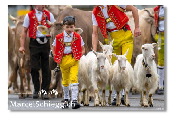 Marcel Schiegg Fotografie, Tradition, Brauchtum, Alpfahrt, Oeberefahre, Appenzell, Appenzellerland, Öberefahre