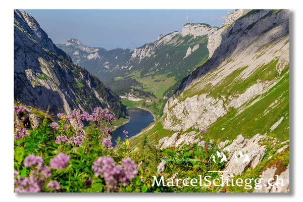 Marcel Schiegg Fotografie, Marcel Schiegg, Faehlensee, Fählensee, Bollenwees, Alpstein