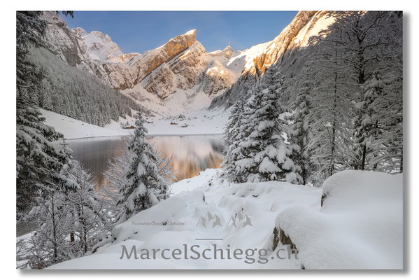 Alpstein/Winterimpressionen Art.-Nr. MS8-0596