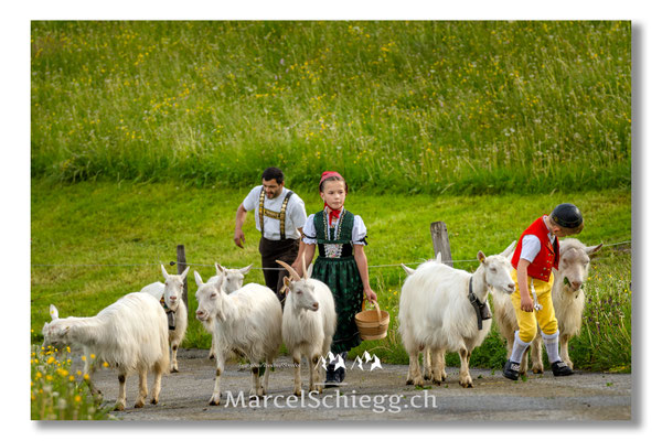 Marcel Schiegg Fotografie, Tradition, Brauchtum, Alpfahrt, Oeberefahre, Appenzell, Appenzellerland, Öberefahre, Alpstein