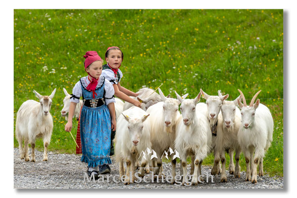 Marcel Schiegg Fotografie, Tradition, Brauchtum, Alpfahrt, Oeberefahre, Appenzell, Appenzellerland, Öberefahre, Alpstein