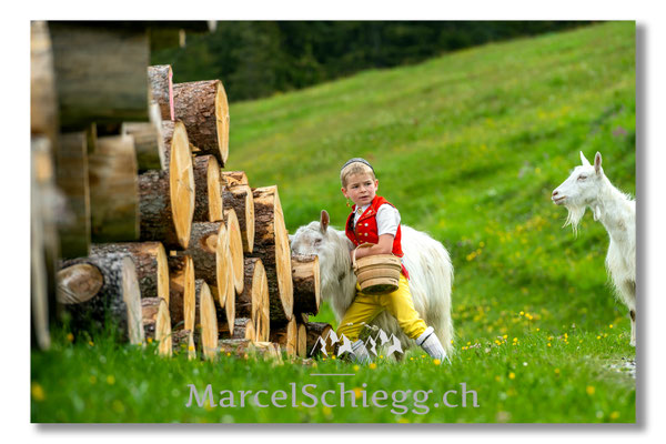 Marcel Schiegg Fotografie, Tradition, Brauchtum, Alpfahrt, Oeberefahre, Appenzell, Appenzellerland, Öberefahre, Alpstein