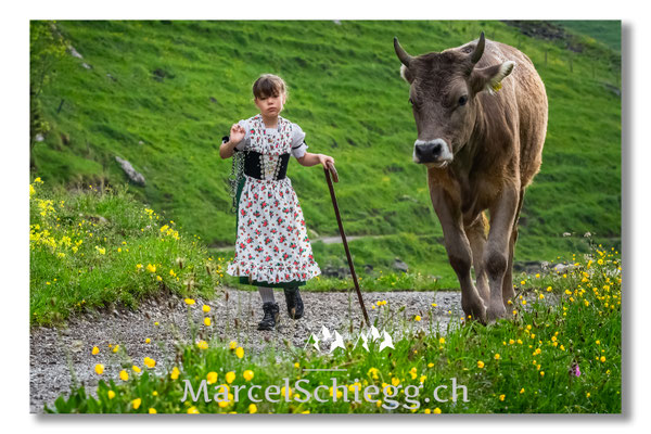 Marcel Schiegg Fotografie, Alpstein, Tradition, Brauchtum, Alpfahrt, Oeberefahre, Appenzell