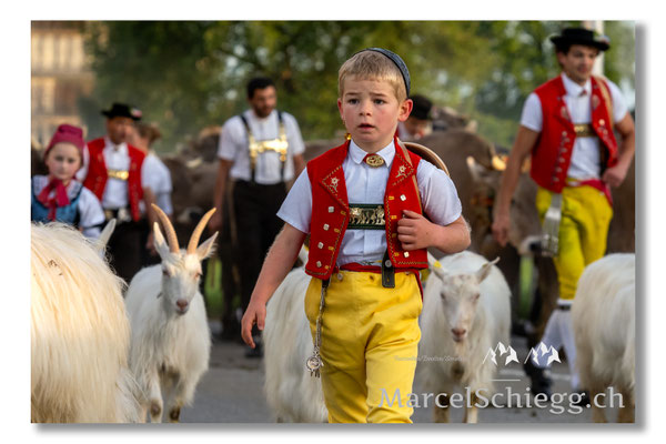 Marcel Schiegg Fotografie, Tradition, Brauchtum, Alpfahrt, Oeberefahre, Appenzell, Appenzellerland, Öberefahre