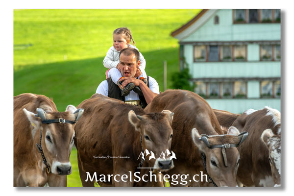 Marcel Schiegg Fotografie, Tradition, Brauchtum, Alpfahrt, Oeberefahre, Appenzell, Appenzellerland