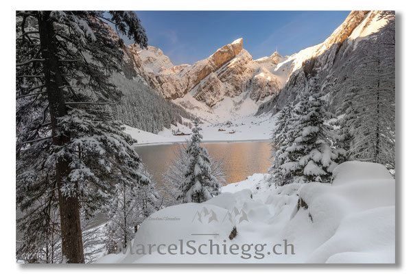 Alpstein/Winterimpressionen Art.-Nr. MS8-0583