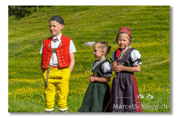 Öberefahre/Alpfahrt Art.-Nr. 20MZ7-3793