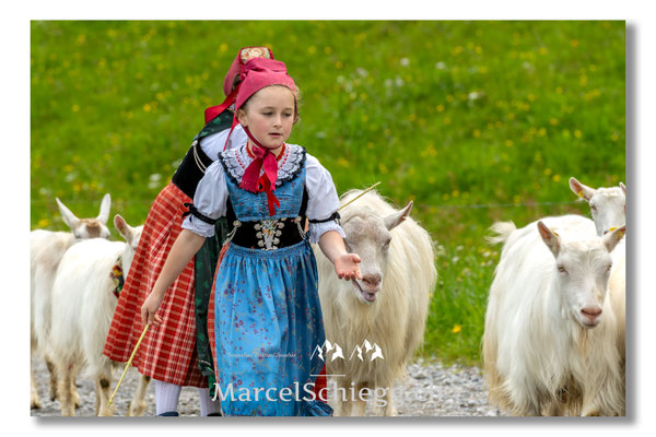 Marcel Schiegg Fotografie, Tradition, Brauchtum, Alpfahrt, Oeberefahre, Appenzell, Appenzellerland, Öberefahre, Alpstein