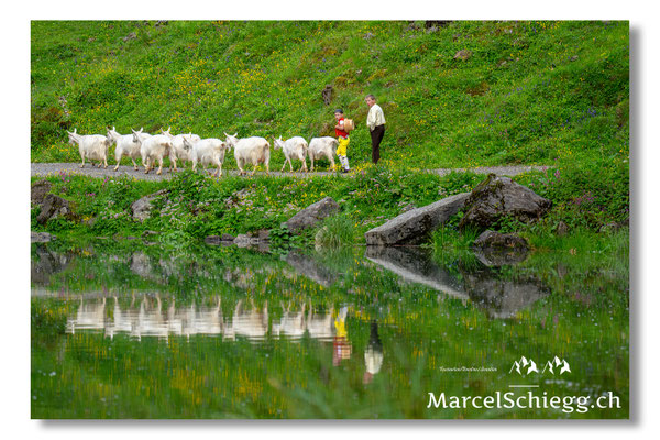 Marcel Schiegg Fotografie, Seealpsee, Alpstein, Tradition, Brauchtum, Alpfahrt, Oeberefahre, Appenzell