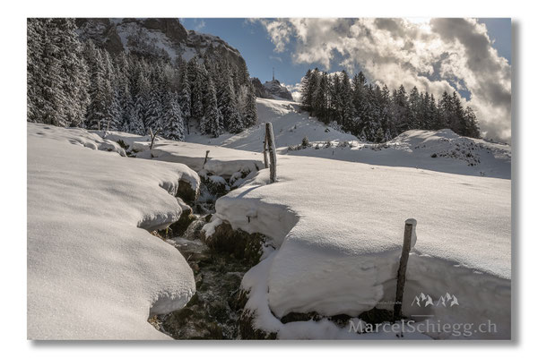 Alpstein/Winterimpressionen Art.-Nr. MZ7-6093