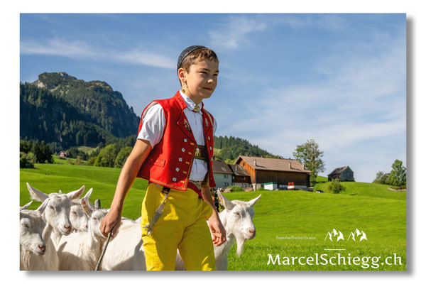 Marcel Schiegg Fotografie, Tradition, Brauchtum, Alpfahrt, Oeberefahre, Appenzell, Appenzellerland, Öberefahre, Alpstein
