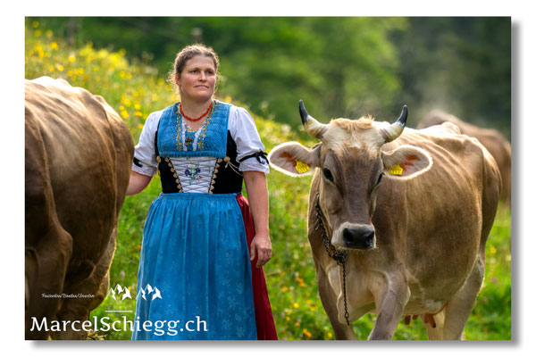 Marcel Schiegg Fotografie, Seealp, Alpstein, Tradition, Brauchtum, Alpfahrt, Oeberefahre, Appenzell, Hornkuh, Braunvieh, Daniela Gmünder