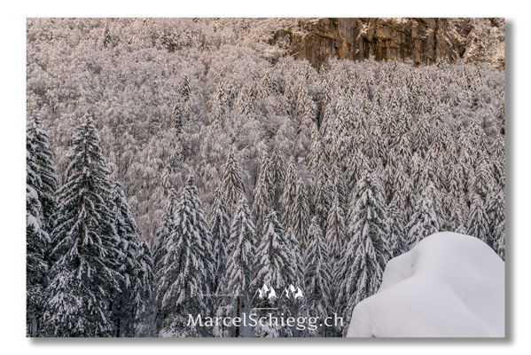 Alpstein/Winterimpressionen Art.-Nr. MS8-0651