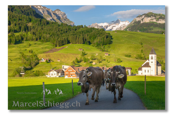 Marcel Schiegg Fotografie, Tradition, Brauchtum, Alpfahrt, Oeberefahre, Appenzell, Appenzellerland, Öberefahre, Alpstein