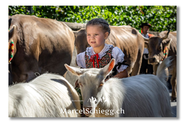 Marcel Schiegg Fotografie, Tradition, Brauchtum, Alpfahrt, Oeberefahre, Appenzell, Appenzellerland