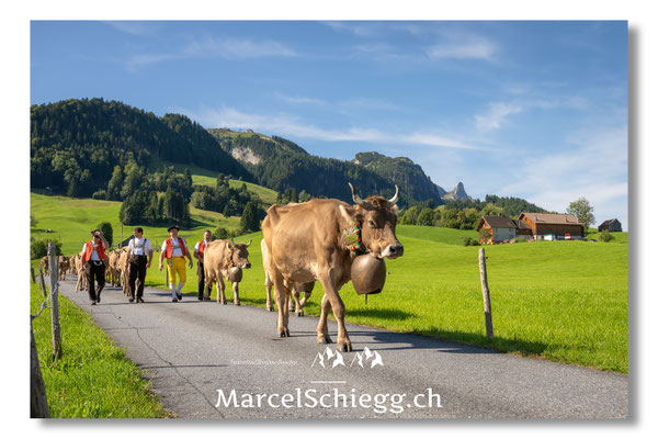 Marcel Schiegg Fotografie, Tradition, Brauchtum, Alpfahrt, Oeberefahre, Appenzell, Appenzellerland, Öberefahre, Alpstein