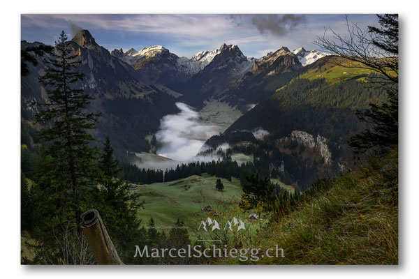 Plattenbödeli/Sämtisersee Art.-Nr. MS5-9504-Oktober